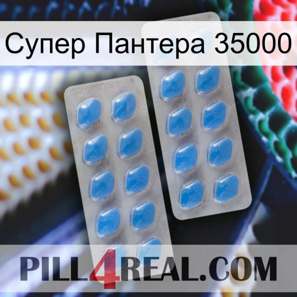 Супер Пантера 35000 23.jpg